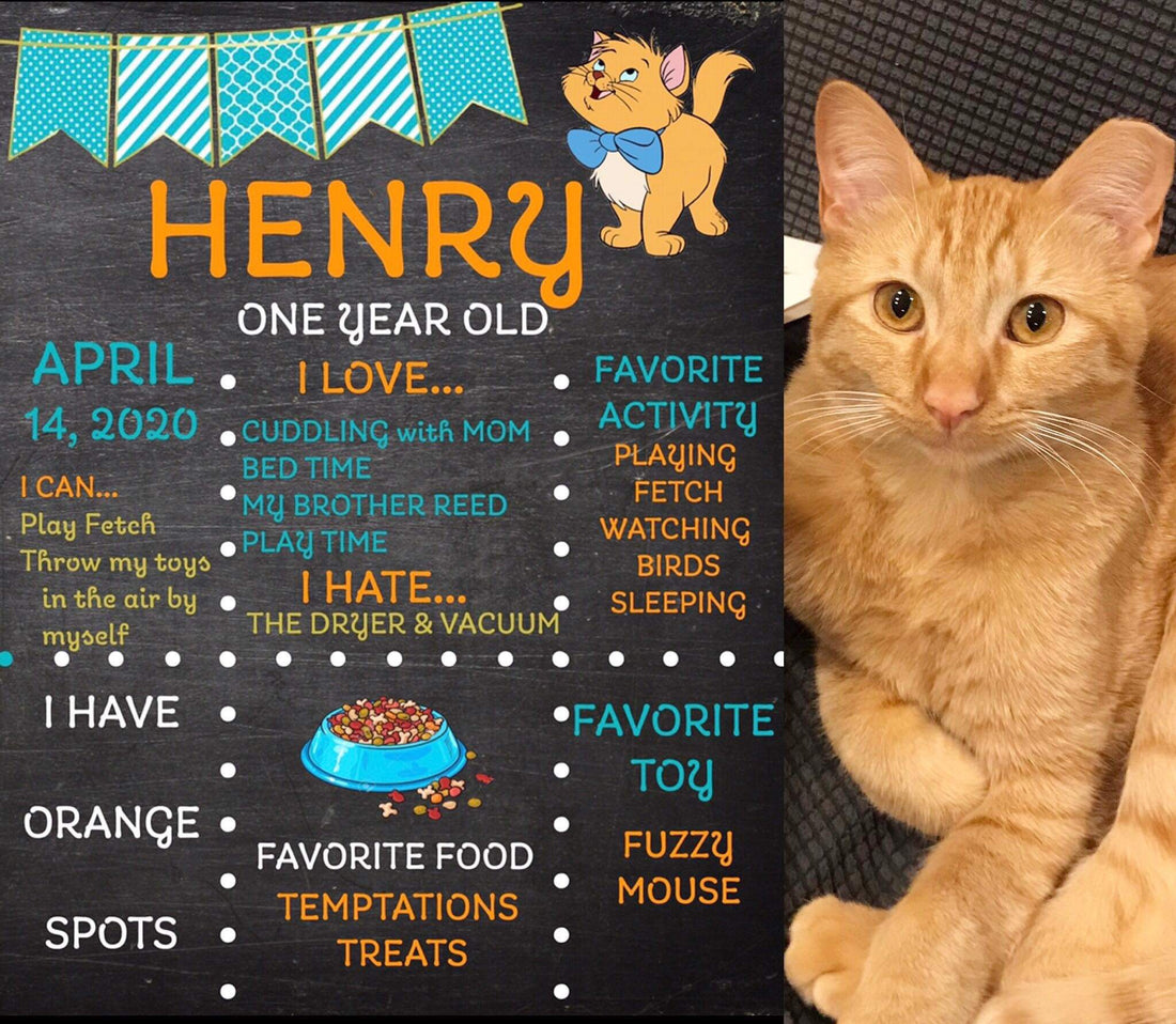 Henry - Formerly Lyric