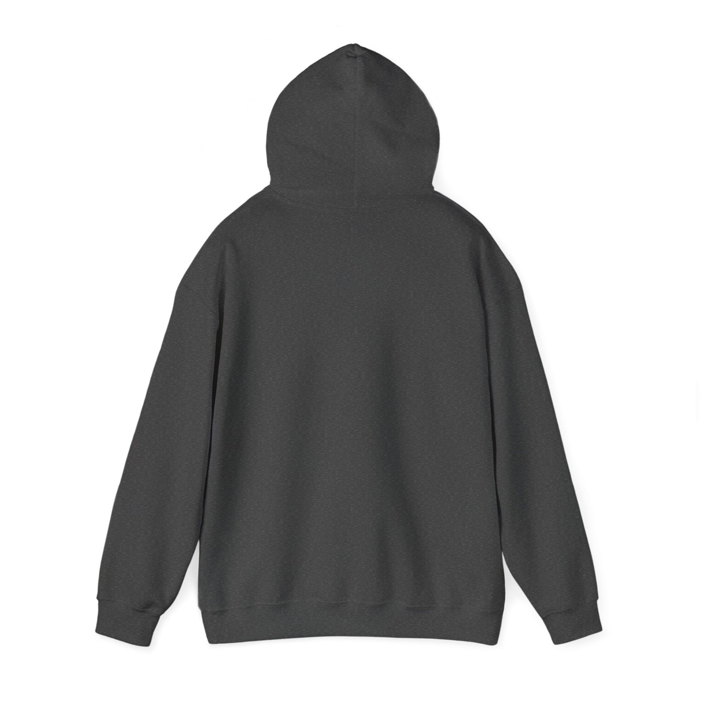 Colored Logo Hoodie